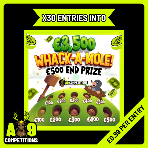 X30 ENTRIES INTO WHACK-A-MOLE